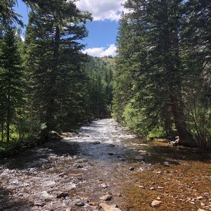 Meet your Posher, Carine